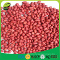 China raw red skin peanut kernel with cheap price